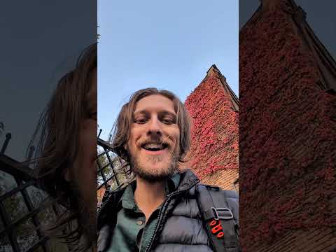 Video recommendation thumbnail: Arty McLabin